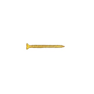 TORNILLO ASTER M 6.0X100MM
